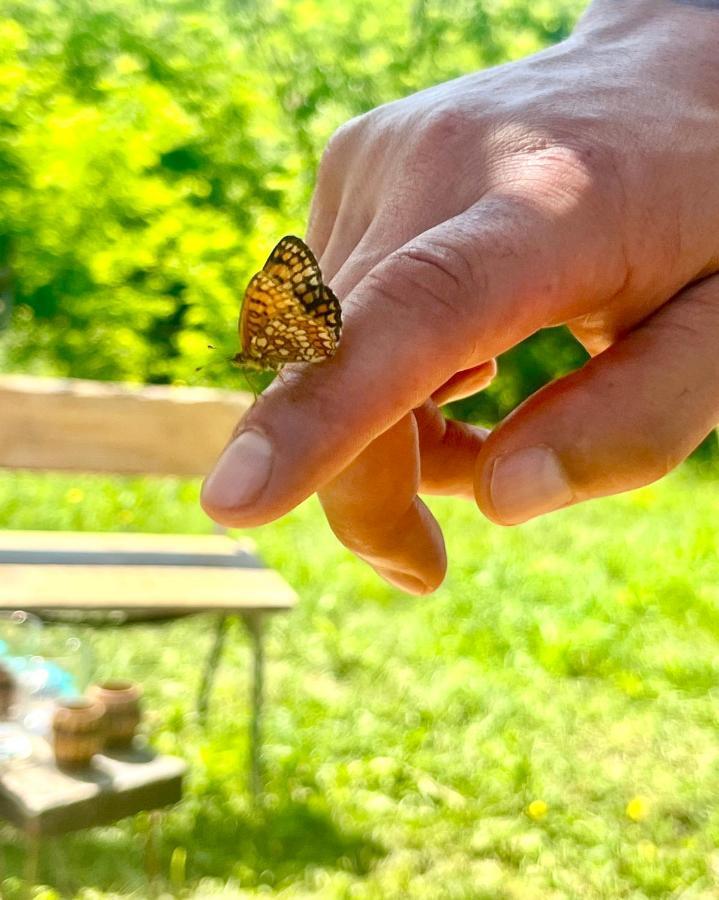 Vila Casa Eden Fit Faget  Exteriér fotografie