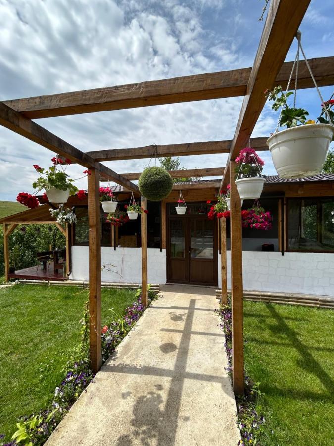 Vila Casa Eden Fit Faget  Exteriér fotografie